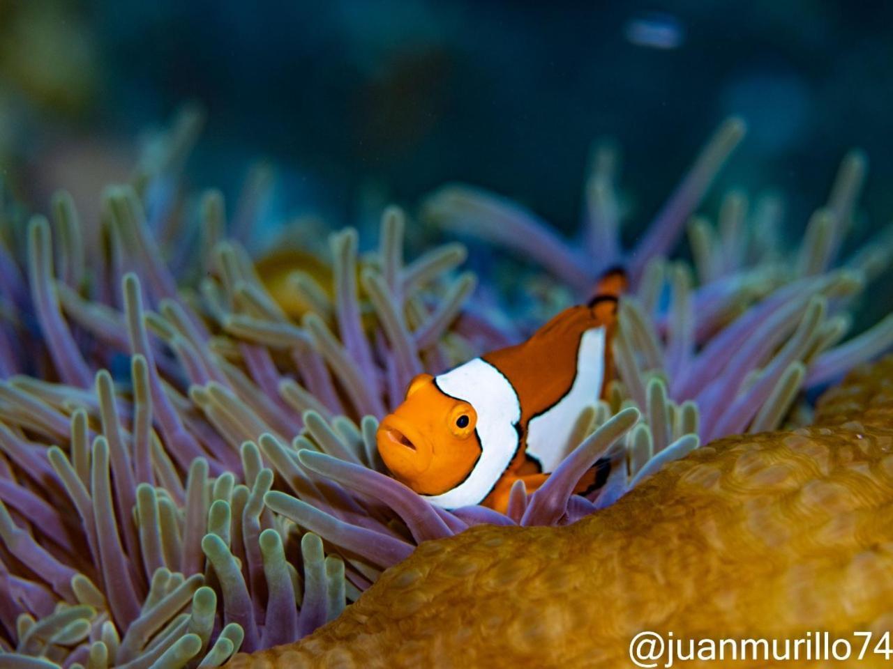 Marind Dive Eco Resort Waha 외부 사진